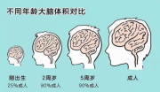 小步在家早教：千万别错过孩子6岁前有且仅有1次的智商飞跃期