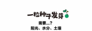 小红书首本种草攻略上线！小红书商业化分享35个品牌种草成功的秘籍